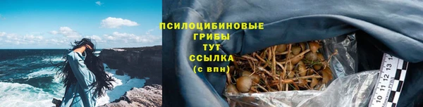 мяу мяу мука Сафоново