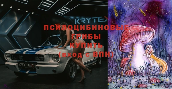 прущие грибы Семилуки