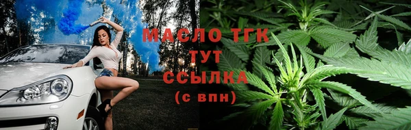прущие грибы Семилуки