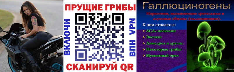 Псилоцибиновые грибы прущие грибы Бородино